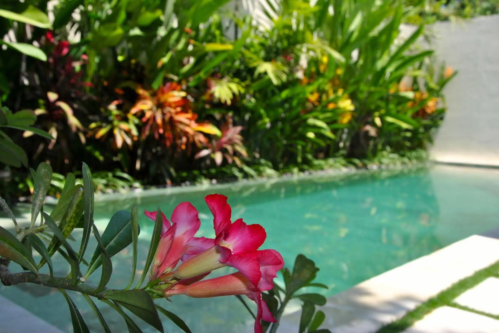 Foto - Villa Bali Asri Batubelig