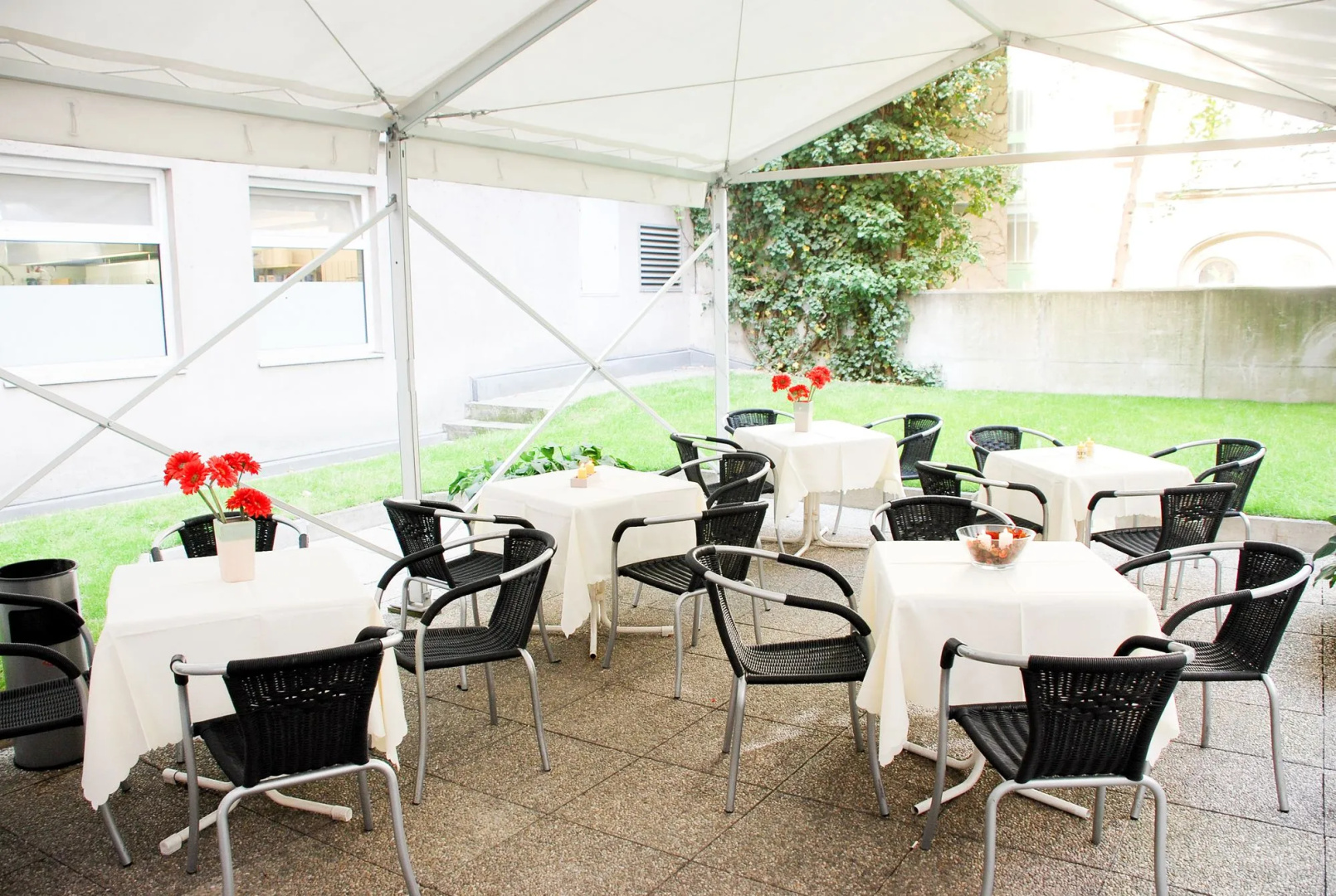 Photo - myNext - Hotel Rudy