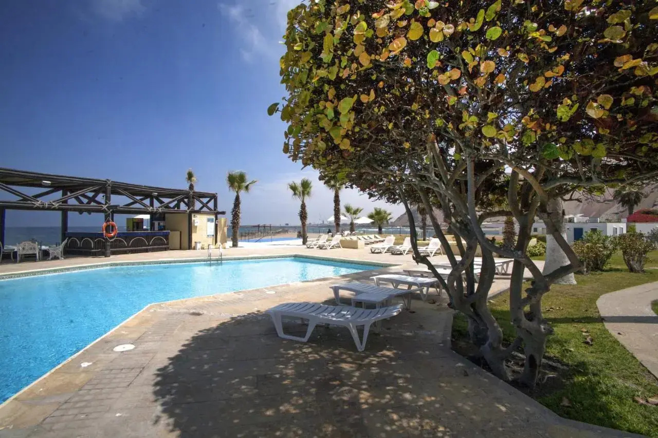 Photo - Hotel Arica