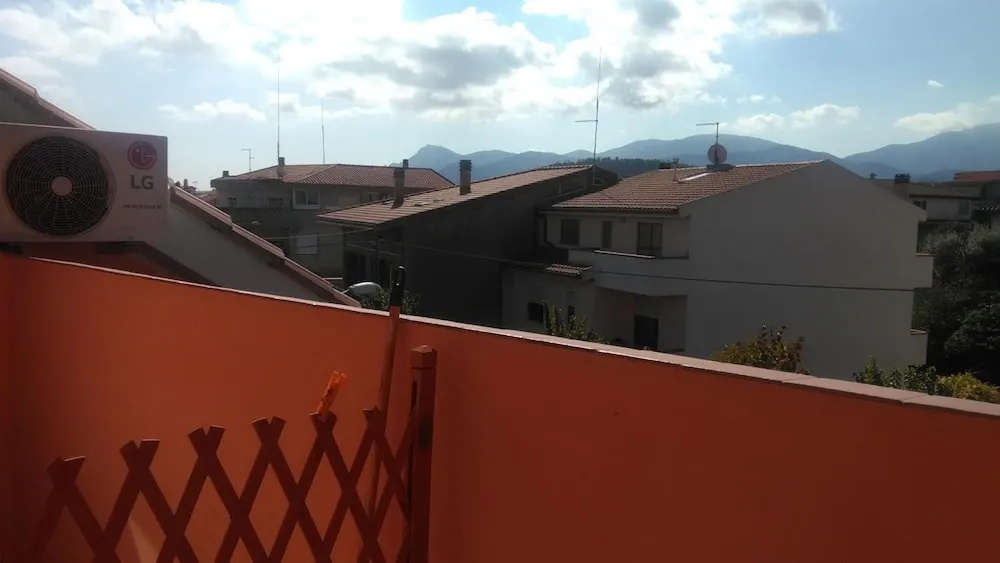 Foto - L'abete