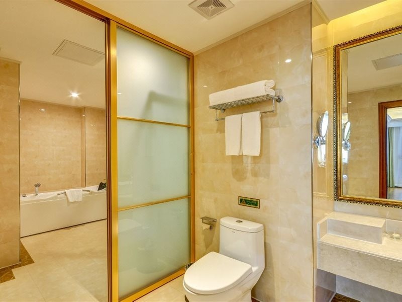 Vienna International Hotel (Gu'an New Airport)