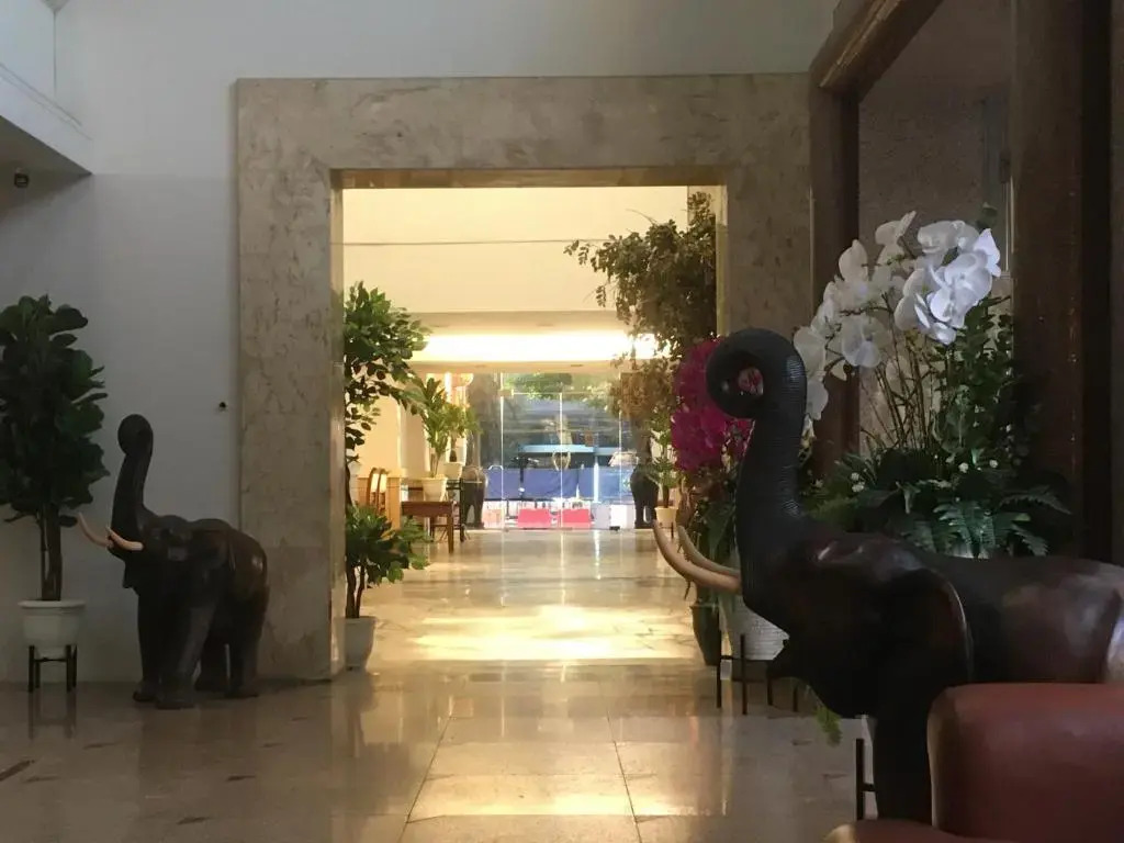 Foto - Jumbotel Hotel