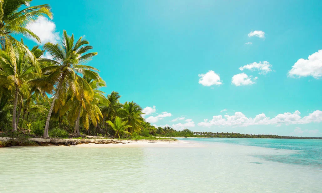 Photo - whala!urban punta cana