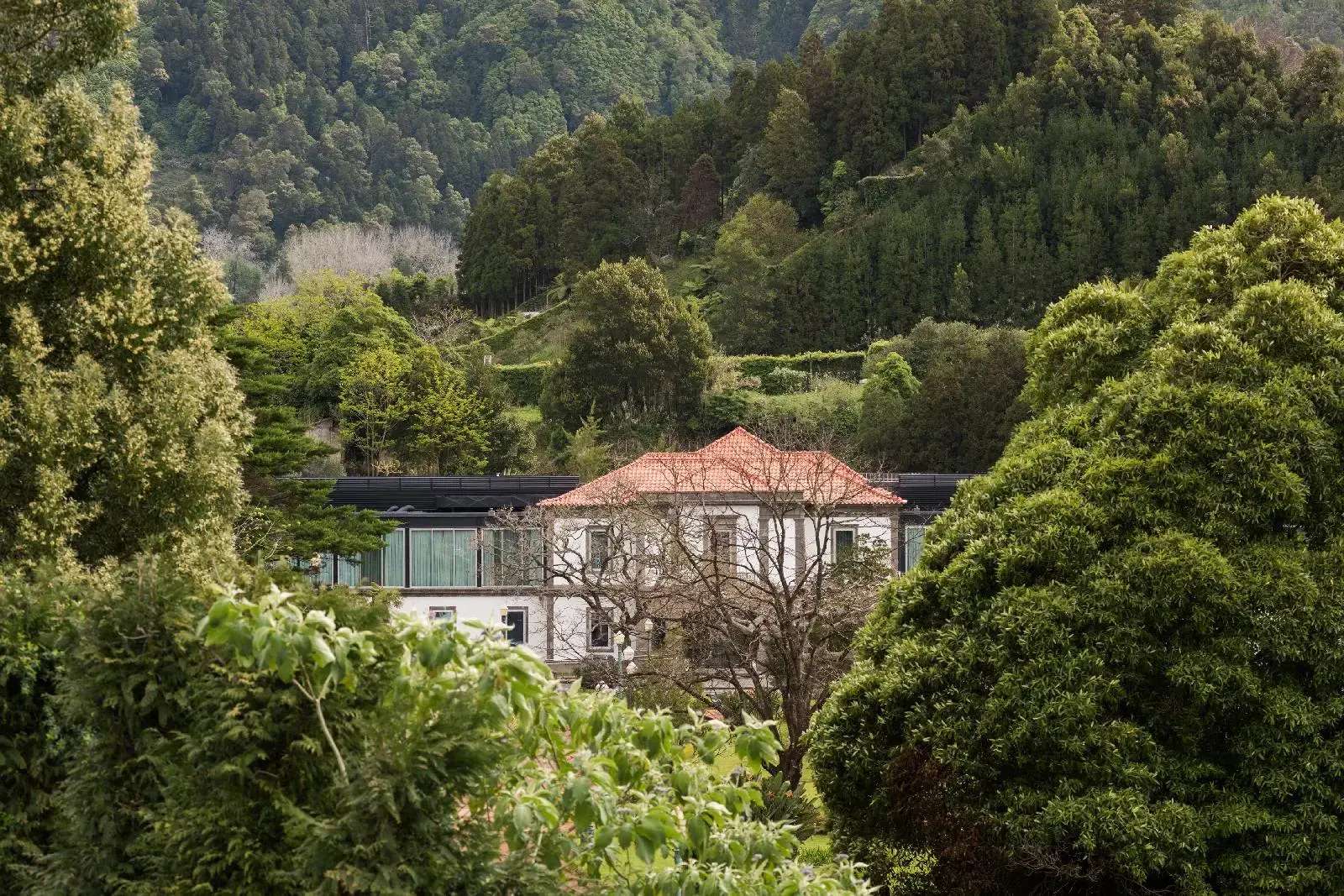 Foto - Octant Furnas