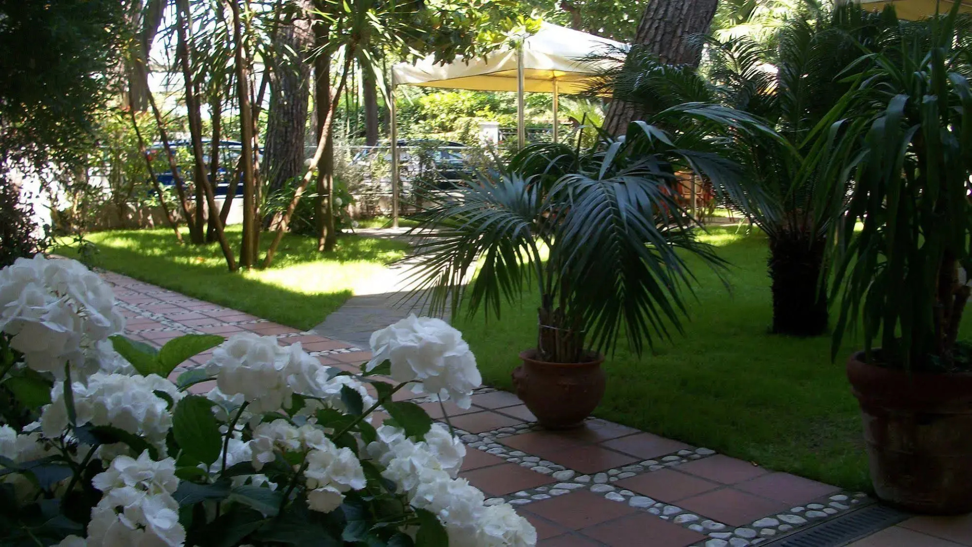 Foto - Hotel Sylvia