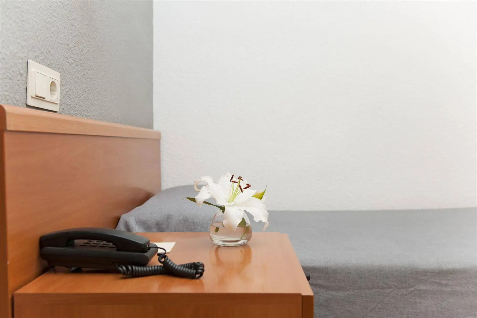 Foto - Hotel El Palmeral