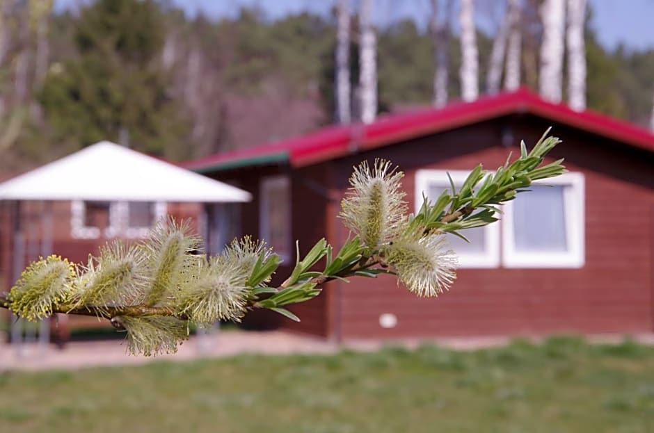Foto - Wakacje Na Wyspie Campsite