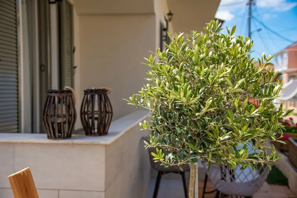 Foto - Kassiopi Luxury Suites