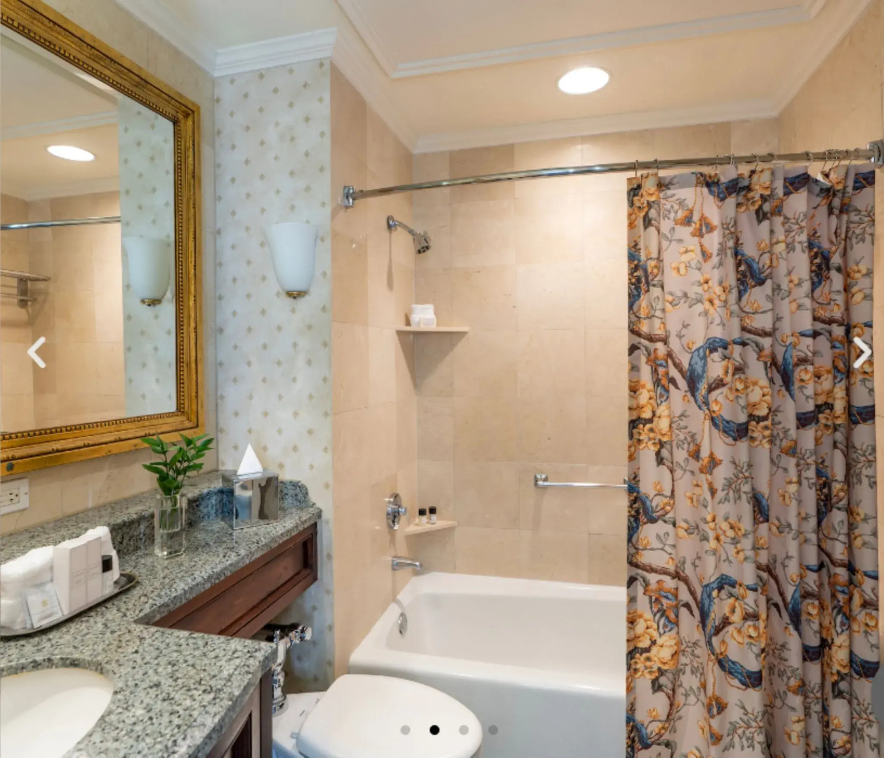 Photo - Hotel Monteleone