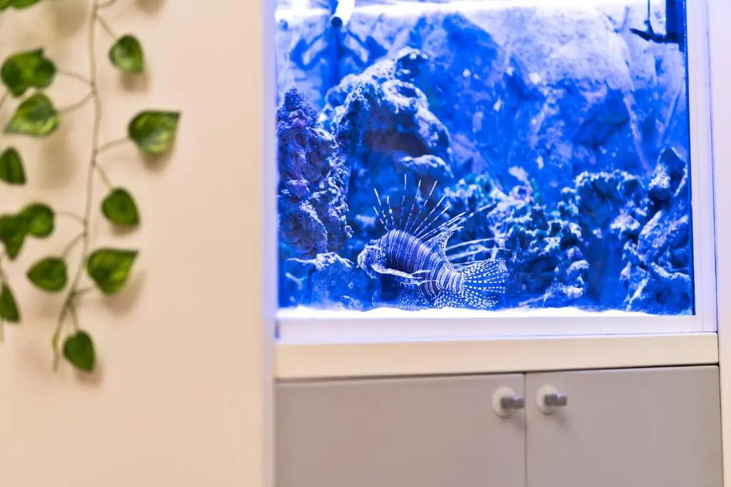 Photo - Hotel Cairoli