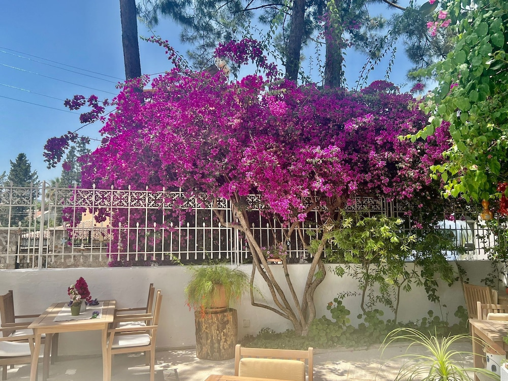 Foto - Carikci Hotel