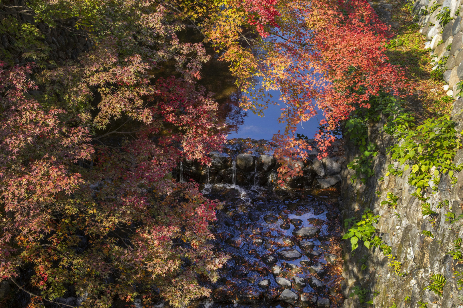 Foto - ROKU KYOTO, LXR Hotels & Resorts by Hilton