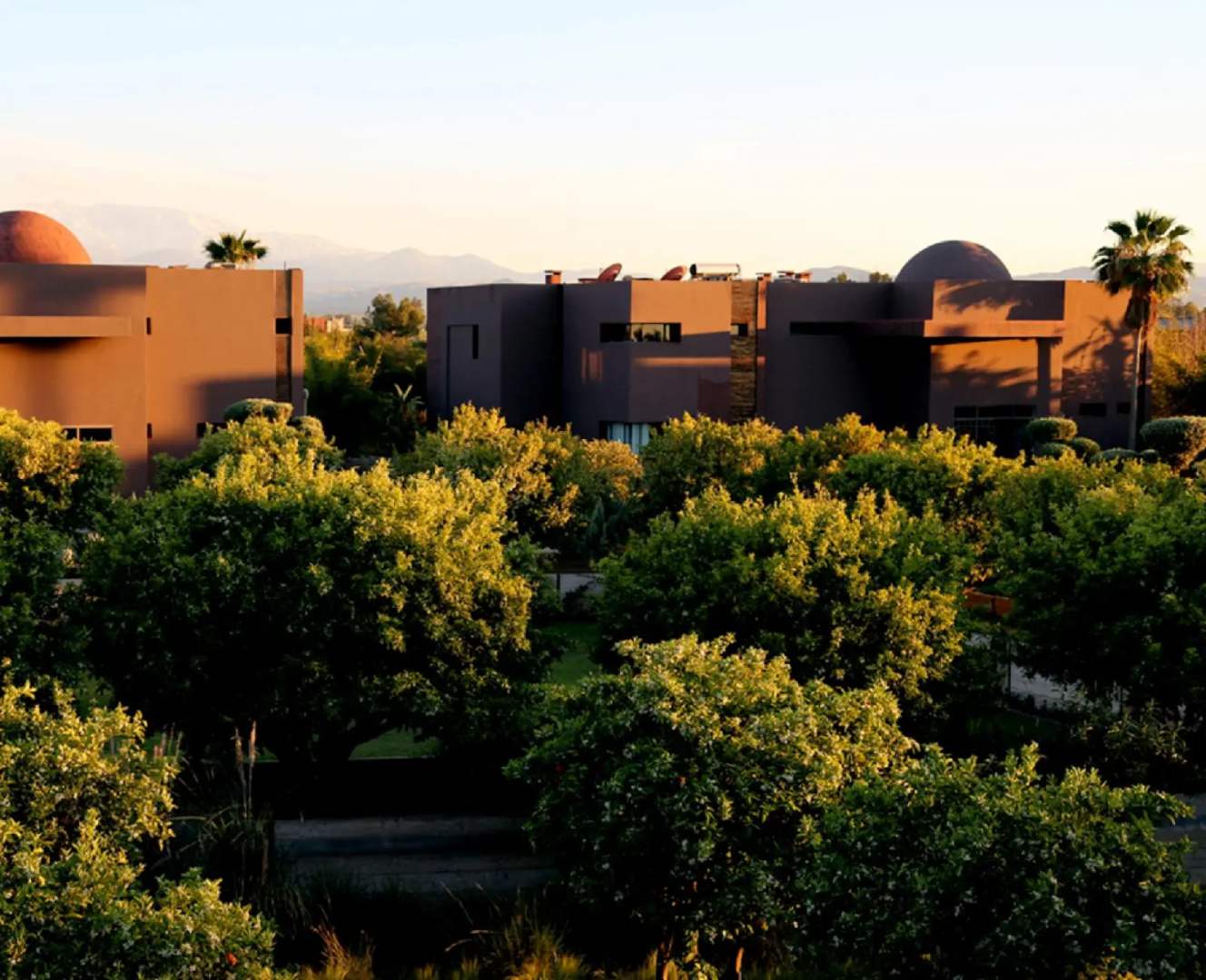 Photo - Fellah Hotel