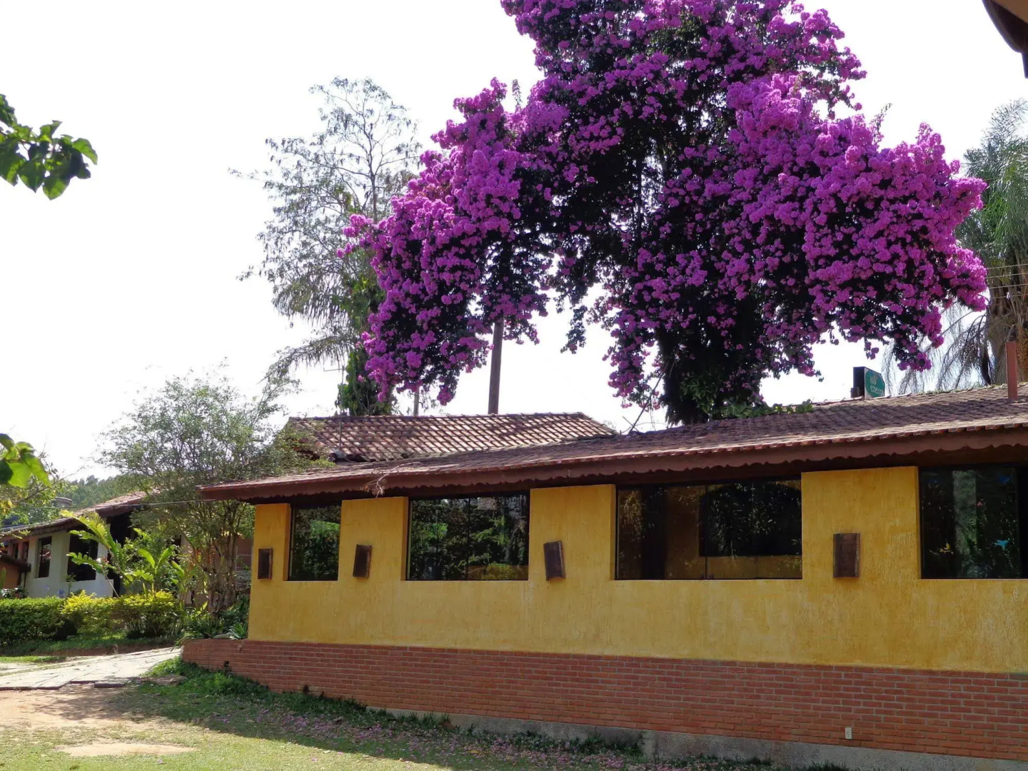 Photo - Pousada Bezerra