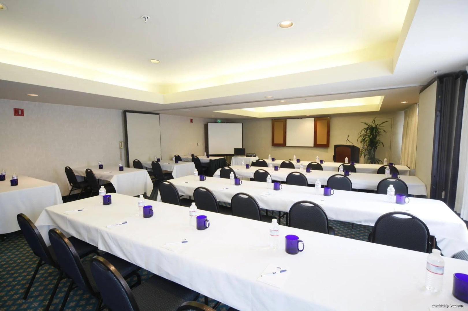 Foto - Best Western Plus Bayside Hotel