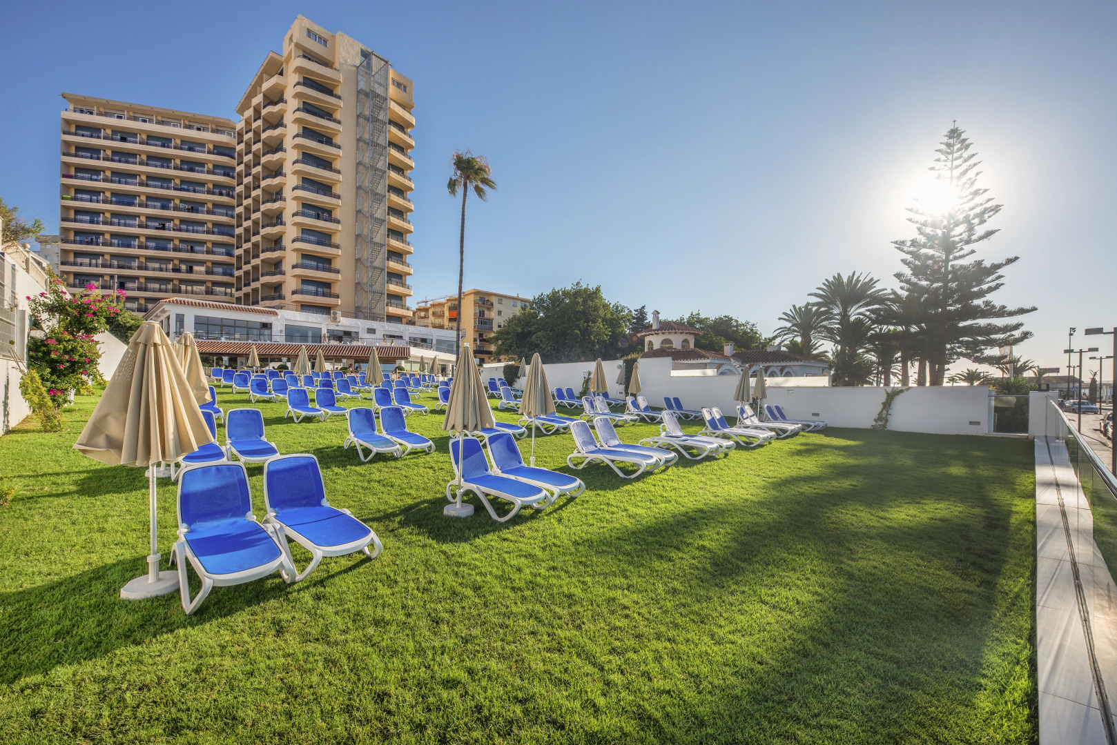 Foto - Globales Gardenia