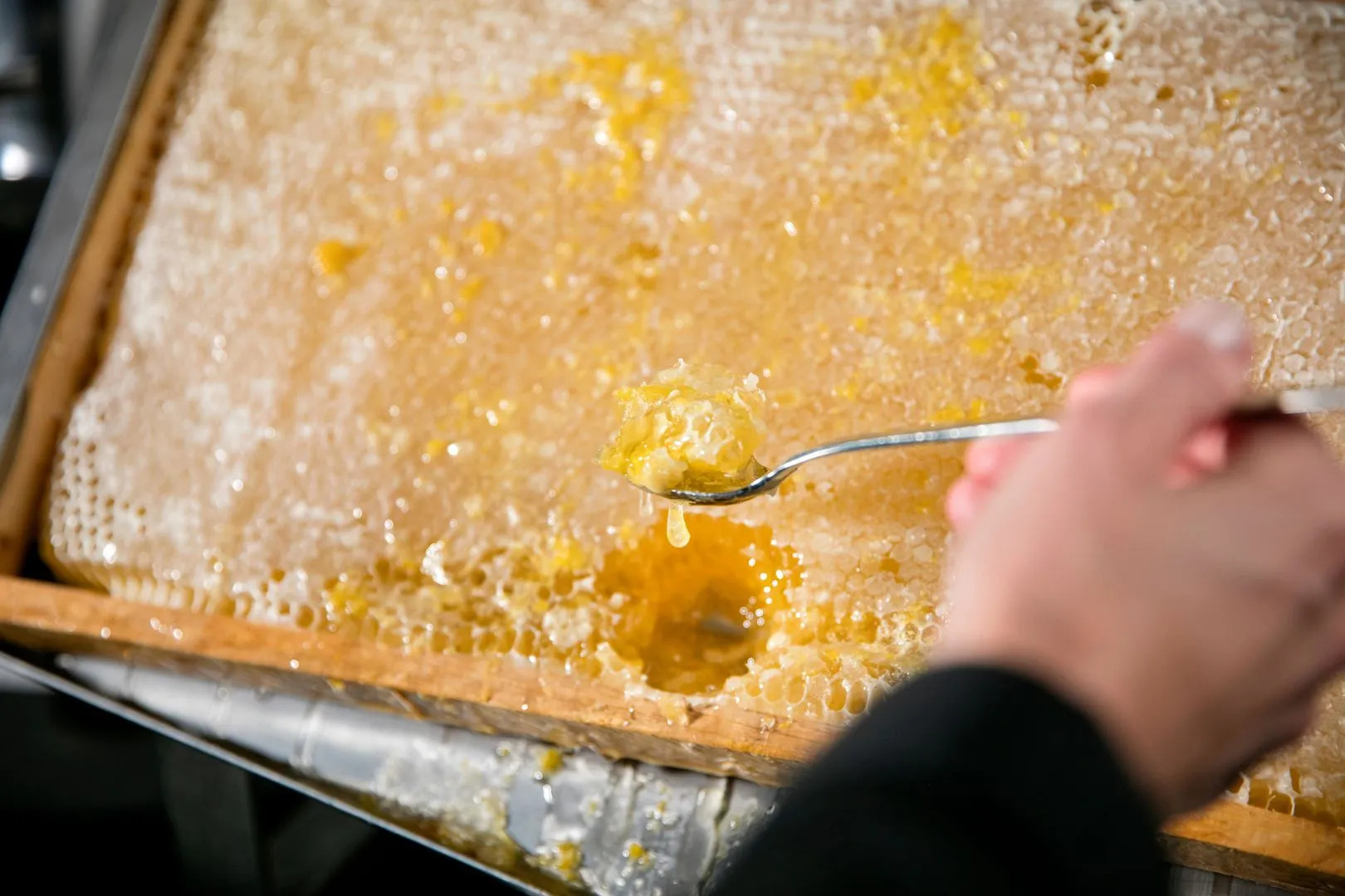 Foto - ARCOTEL Rubin Hamburg