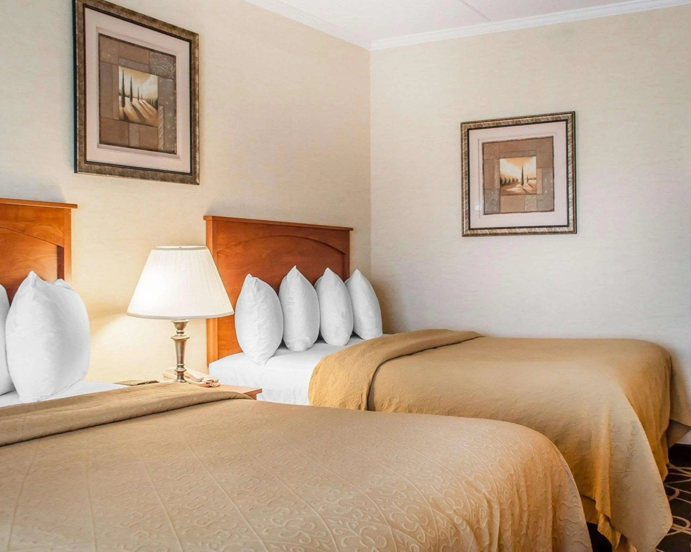 Foto - Quality Hotel & Suites At The Falls