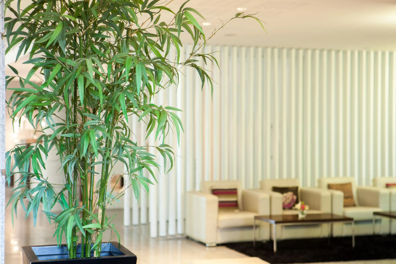 Foto - Lux Fátima Park - Hotel, Suites & Residence
