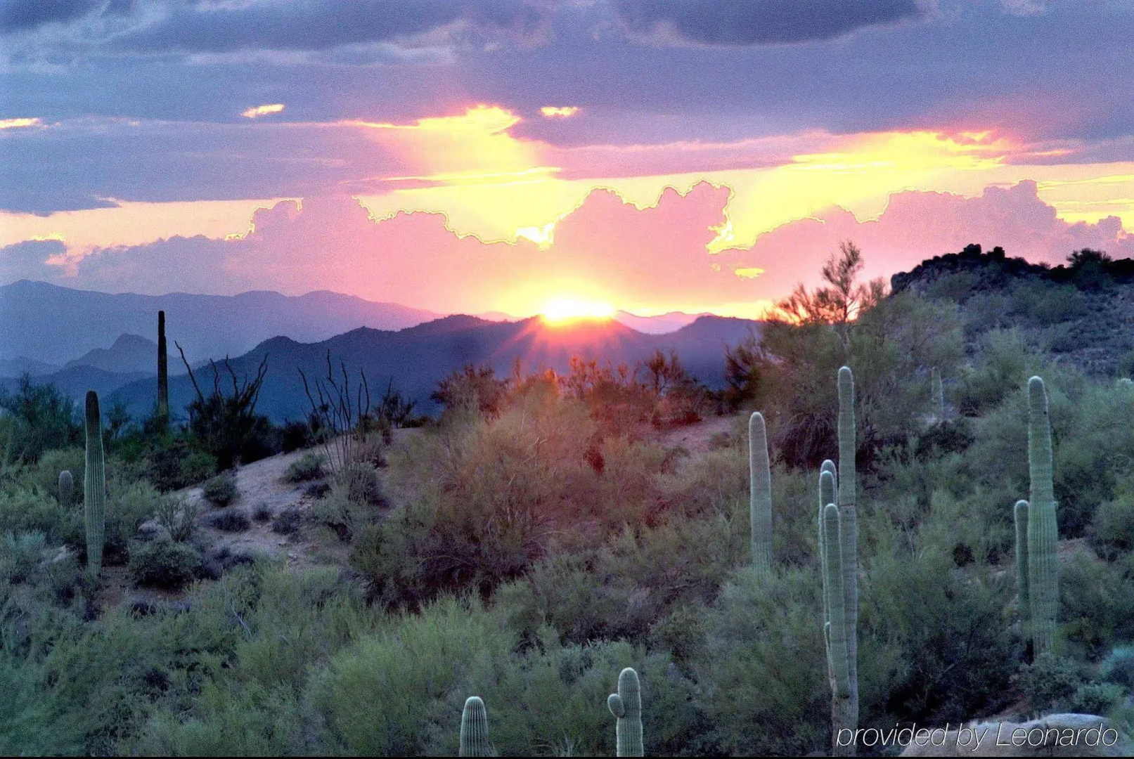 Foto - Hampton Inn Phoenix-Biltmore