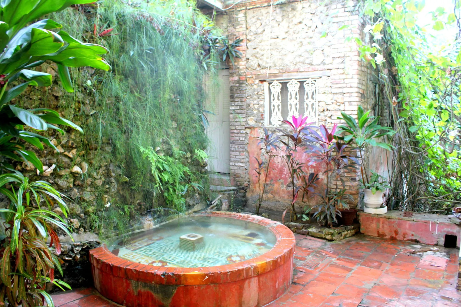 Photo - Hotel Florita