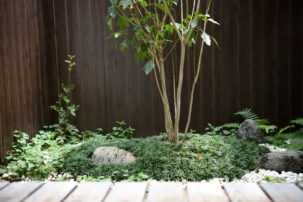 Foto - Shiki Homes HARU