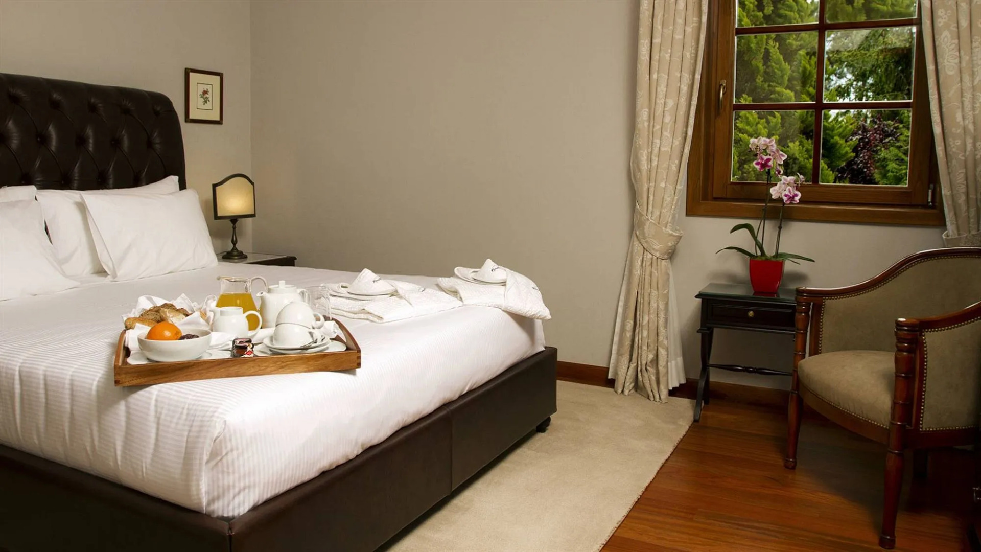 Photo - Rinoterra Minho