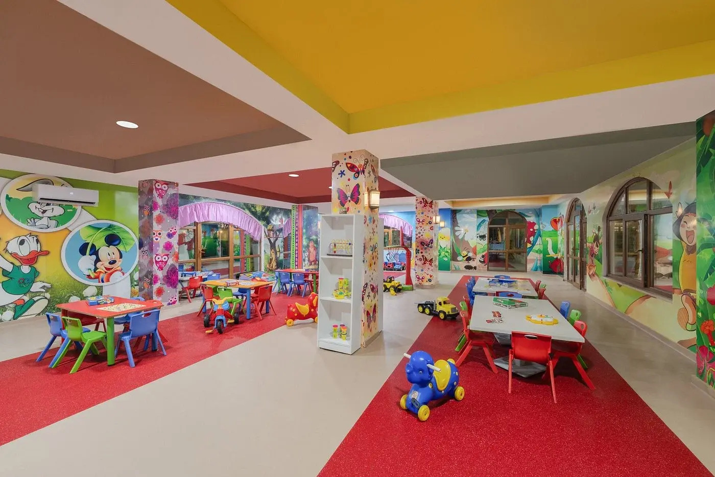 Foto - Delphin Imperial Lara