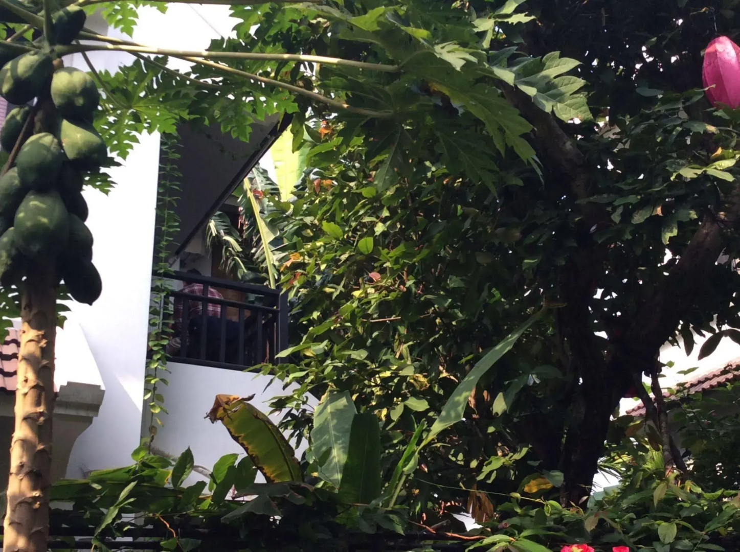 Foto - East West Villa