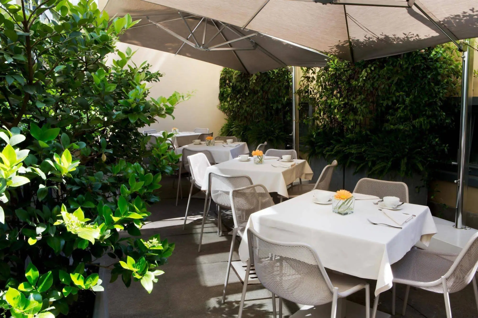 Foto - Starhotels Excelsior