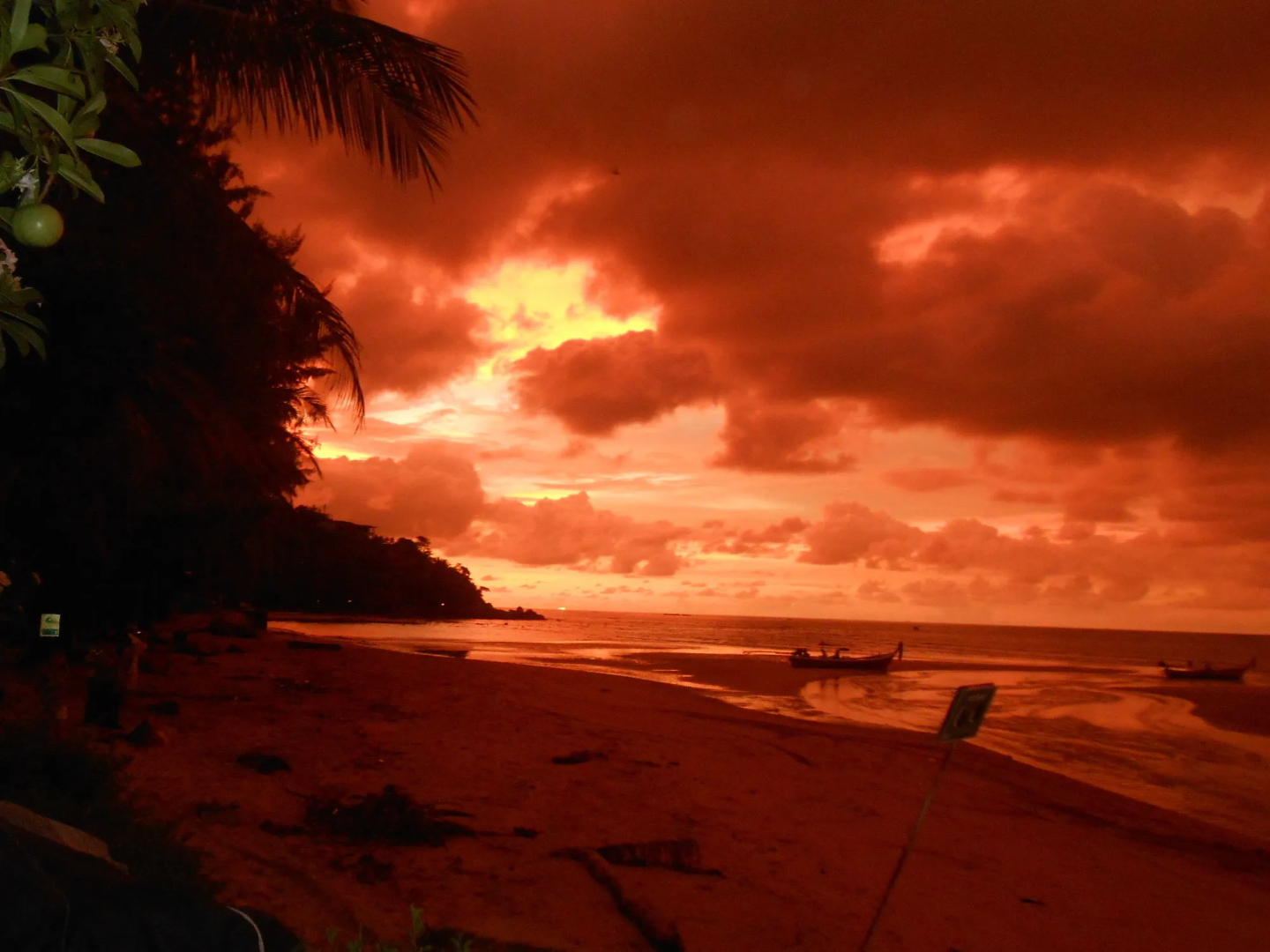 Foto - Kamala Dreams