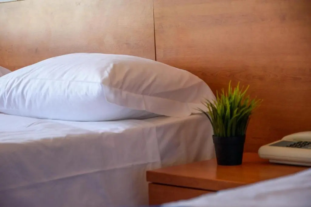 Foto - Hotel Anna Siena Nord