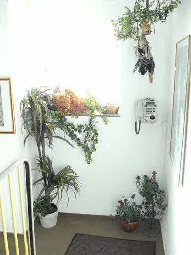 Foto - Hostel Heinzelmännchen