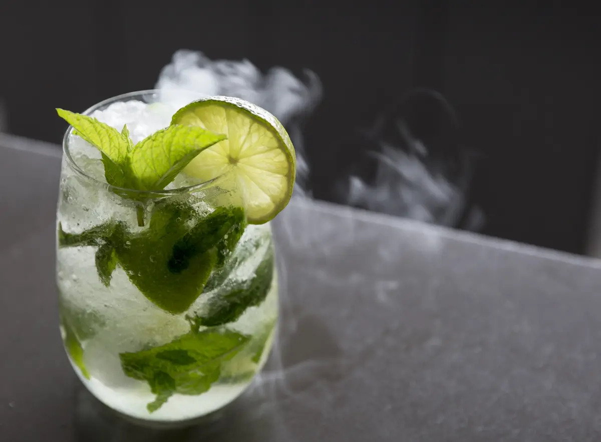 Foto - ARTIEM Audax - Adults Only