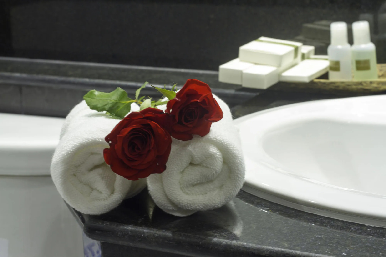 Foto - Rose Emerald Hotel