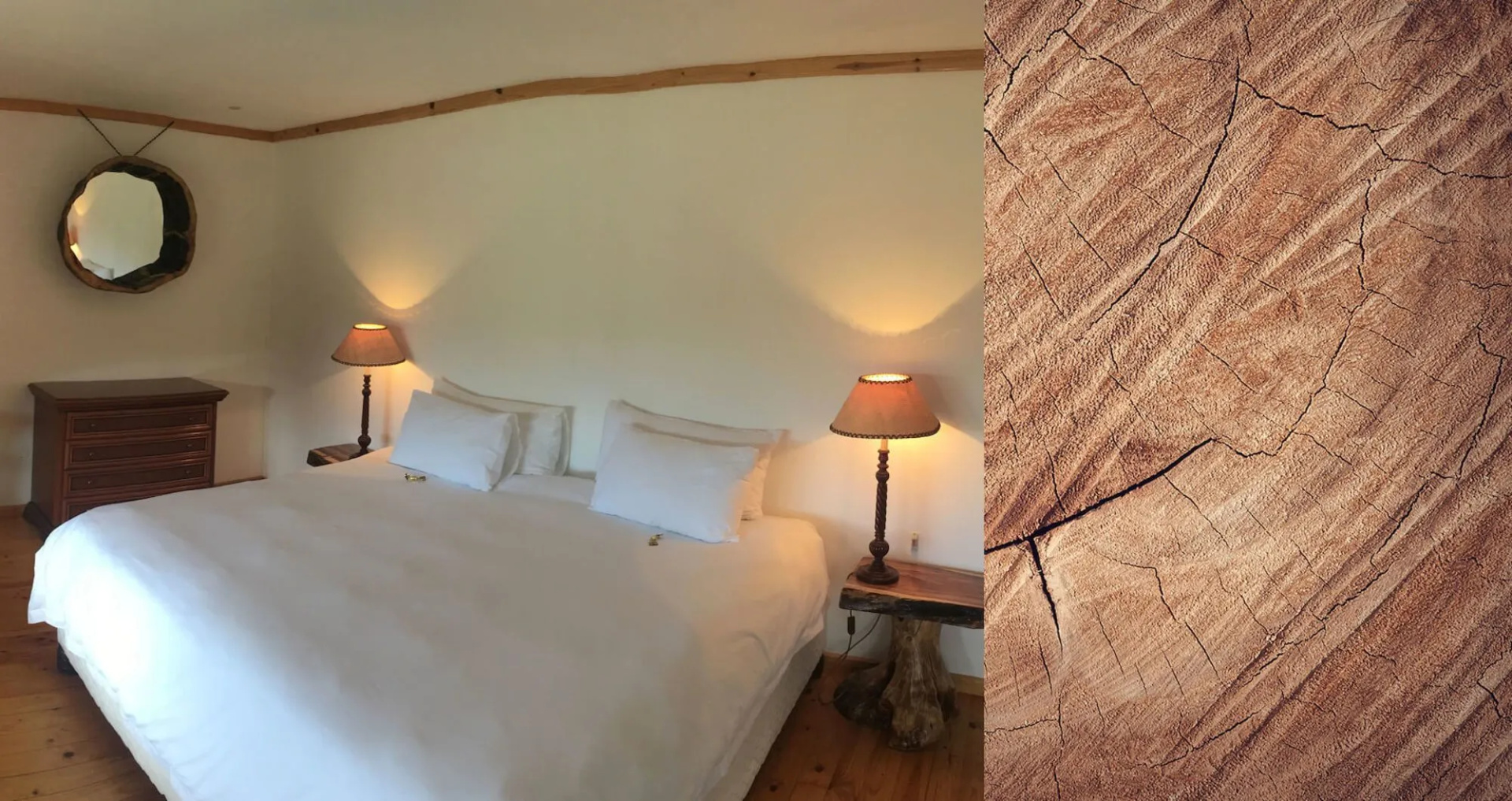 Foto - The Log Collective