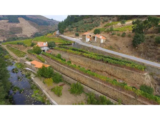 Foto - Quinta de Recião