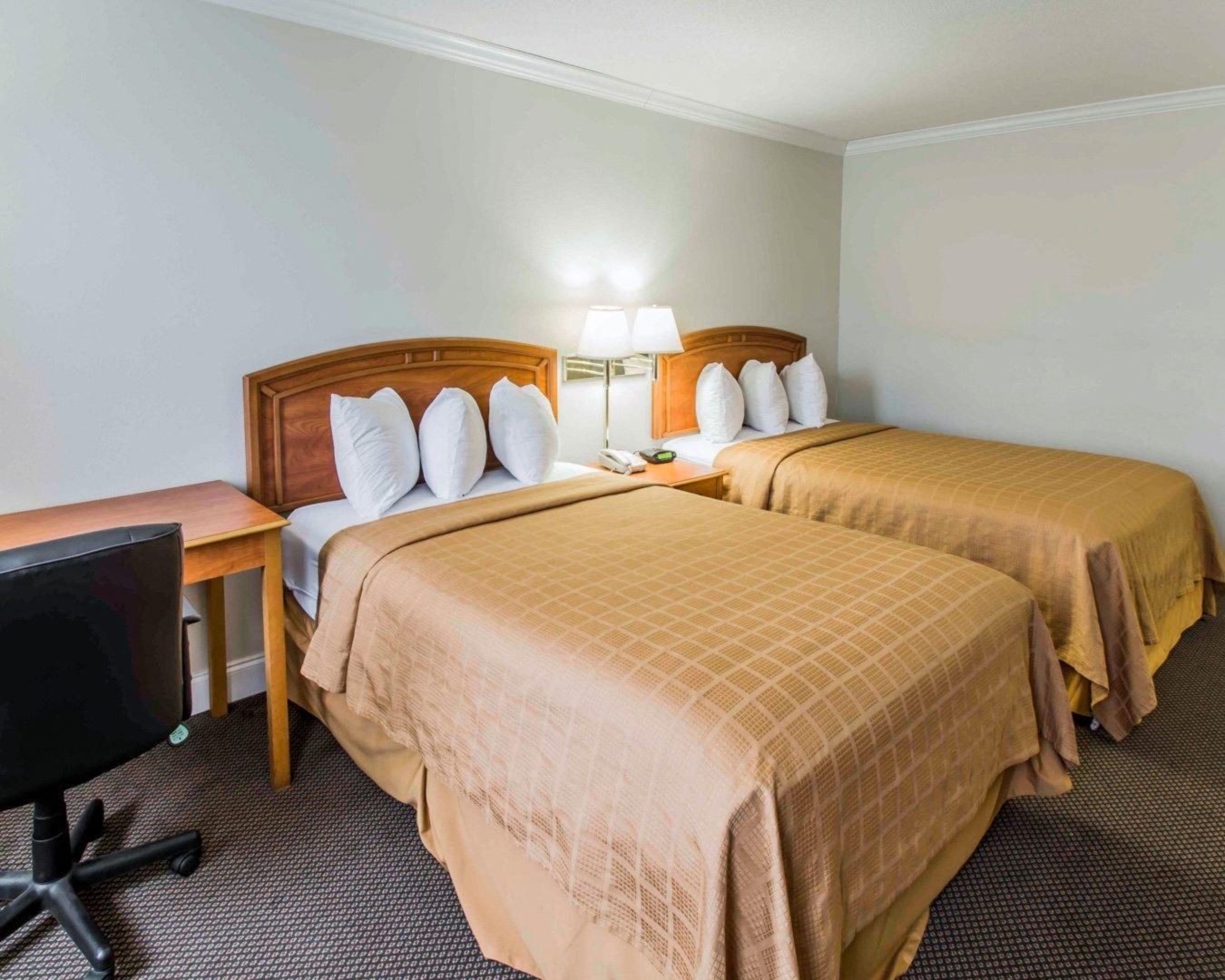 Photo - Comfort Suites Tampa Airport North