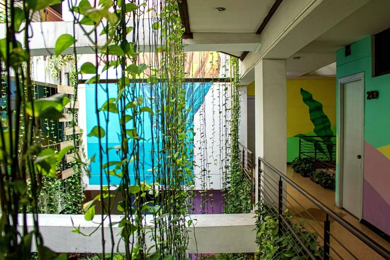 Foto - Hotel Natural