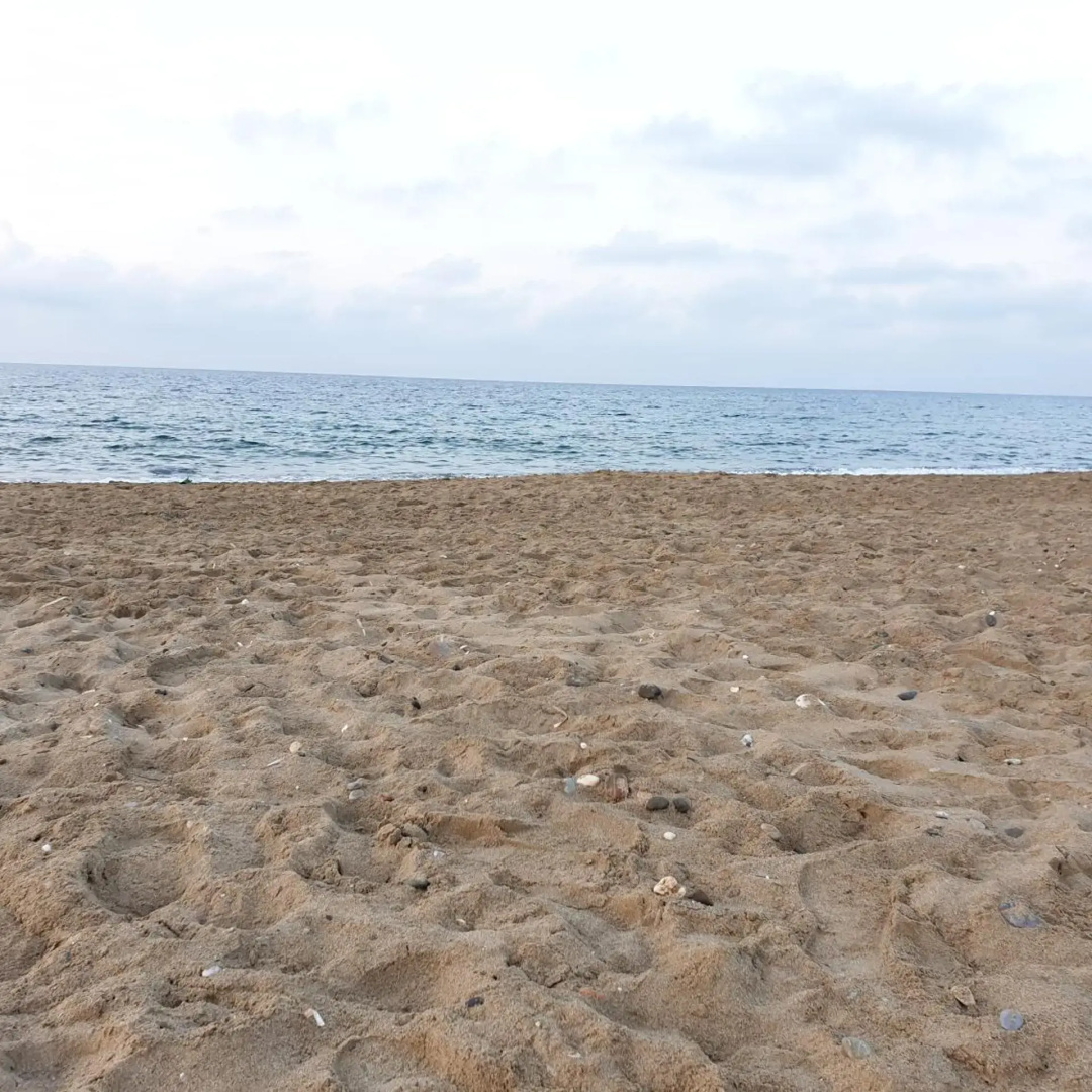 Foto - Hotel Kathrin Beach