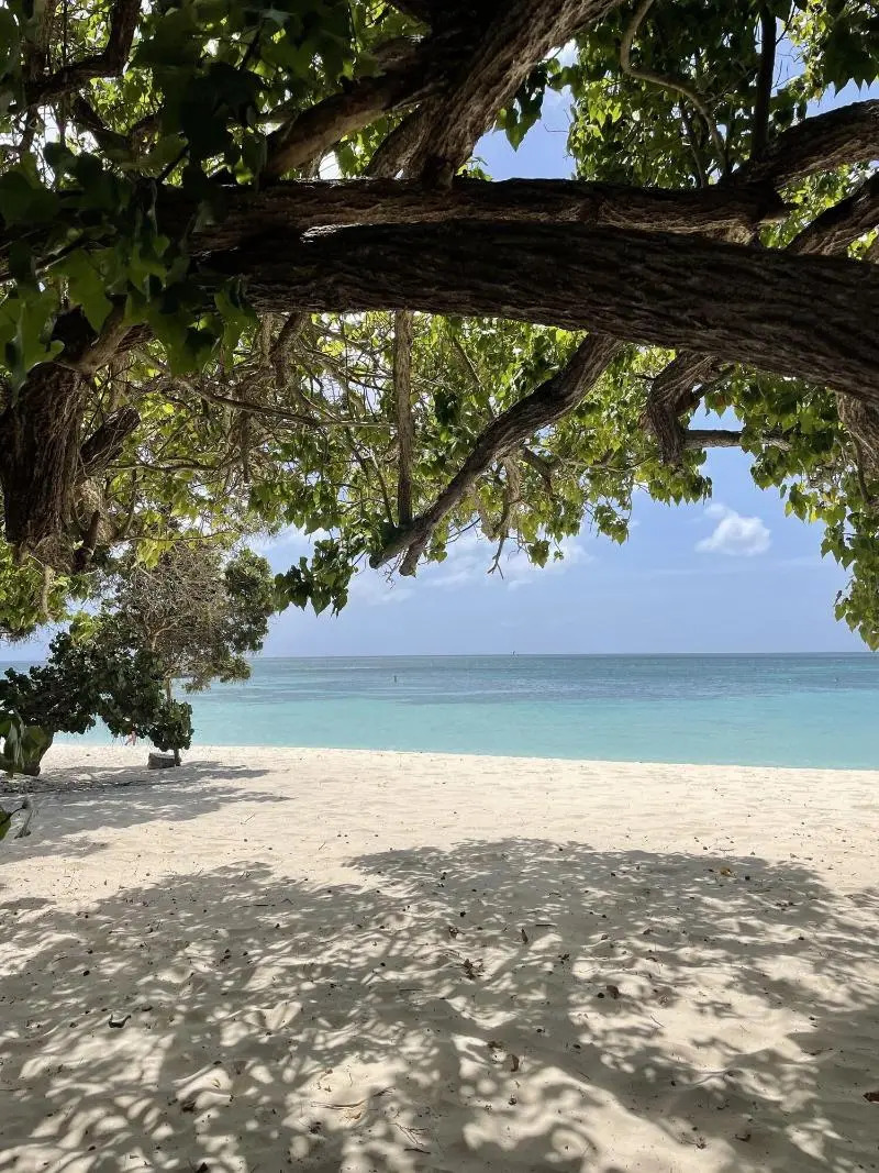 Foto - The Mill Resort and Suites