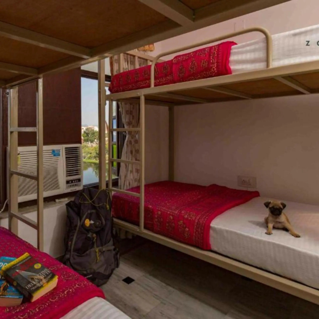 Foto - Zostel Udaipur - Hostel
