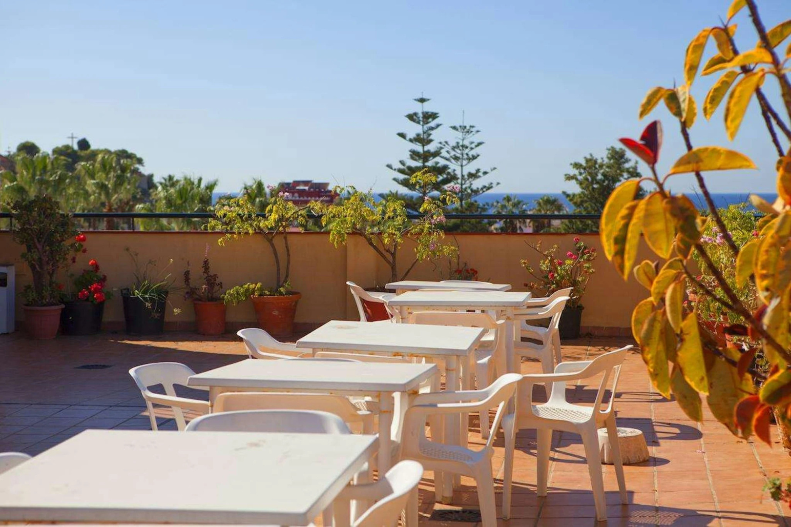 Foto - Hotel Olas de Almuñécar