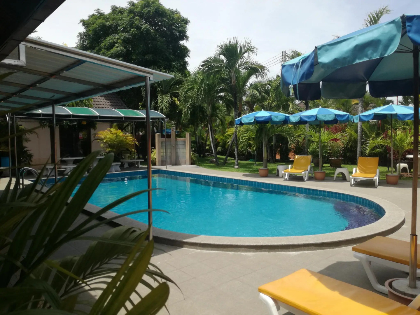 Foto - Lonops Gay Paradise