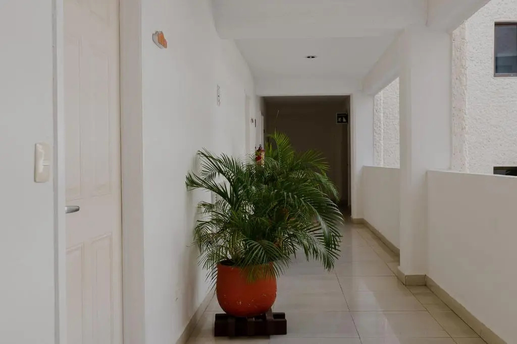 Foto - Hotel Los Aluxes