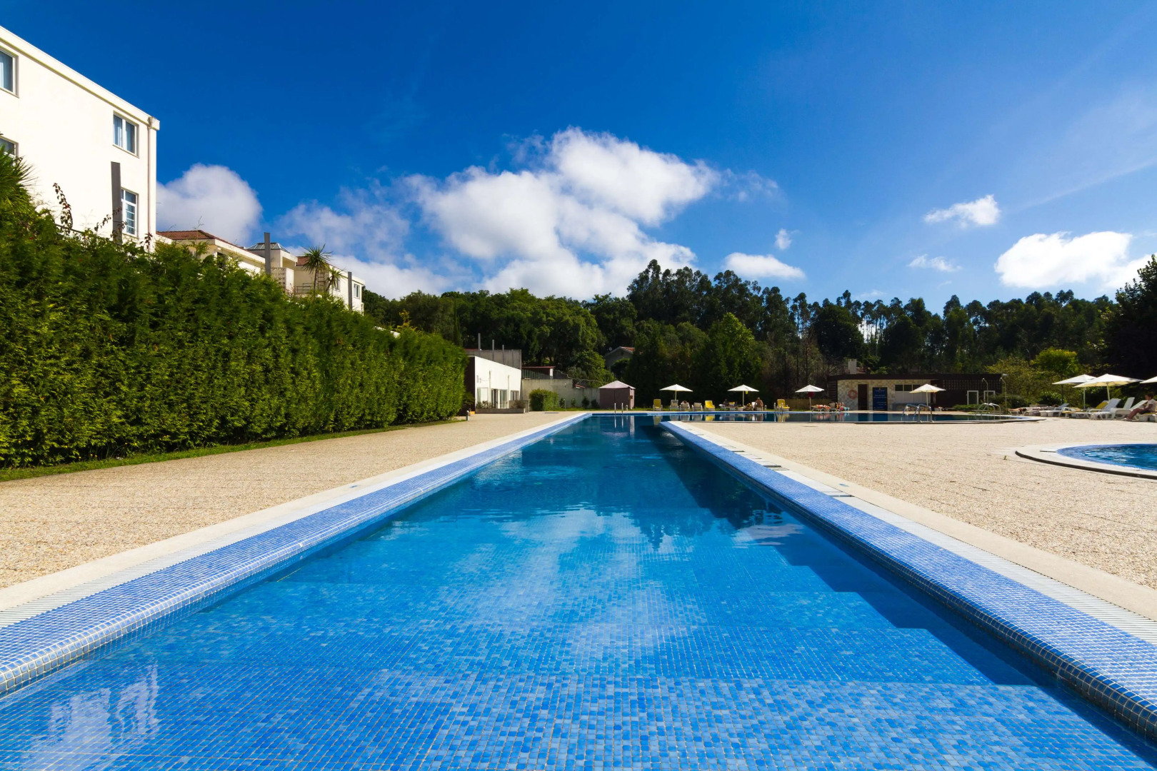 Foto - The Lince Braga