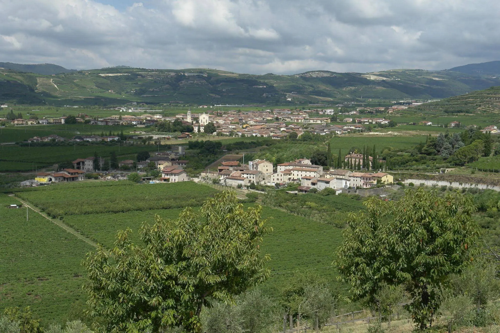 Foto - Sporting Hotel San Felice