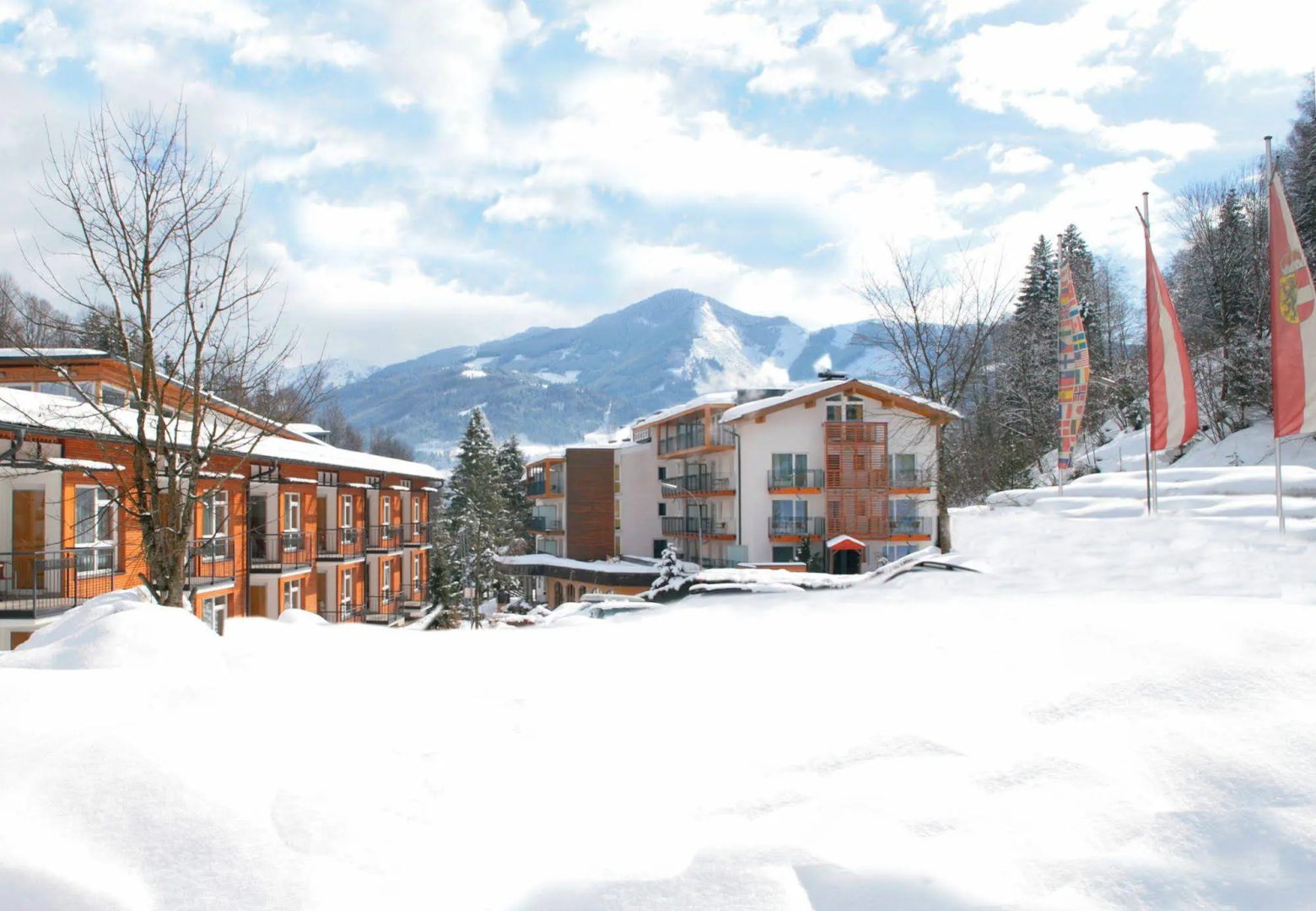 Foto - Hotel Der Waldhof