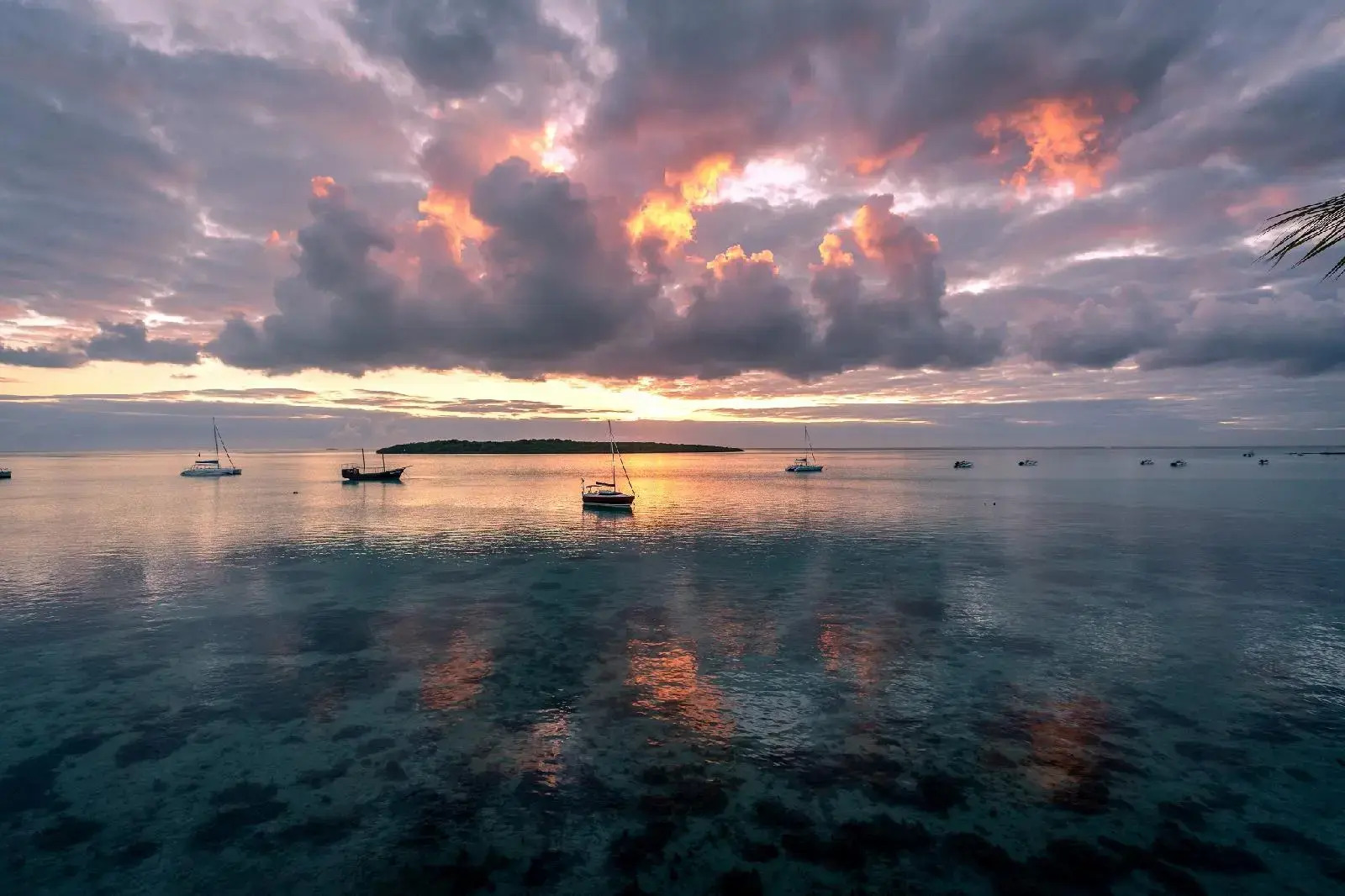 Foto - Preskil Island Resort