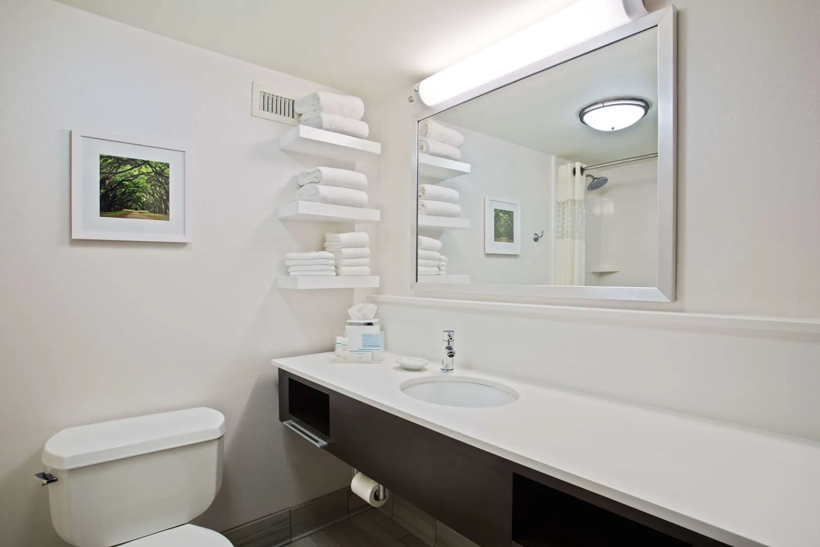 Photo - Hampton Inn & Suites Atlanta/Duluth/Gwinnett County